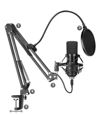 Microphone set