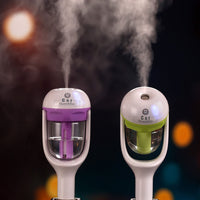 Mini 12V Car Steam Humidifier Air Purifier Aroma Diffuser Essential Oil Diffuser Car Humidifier