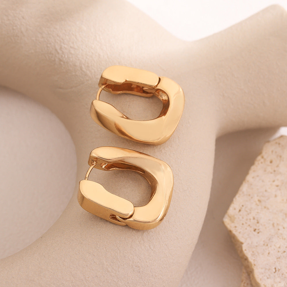 Metal Alloy Earrings High-grade Earrings For Women Geometric Ornament